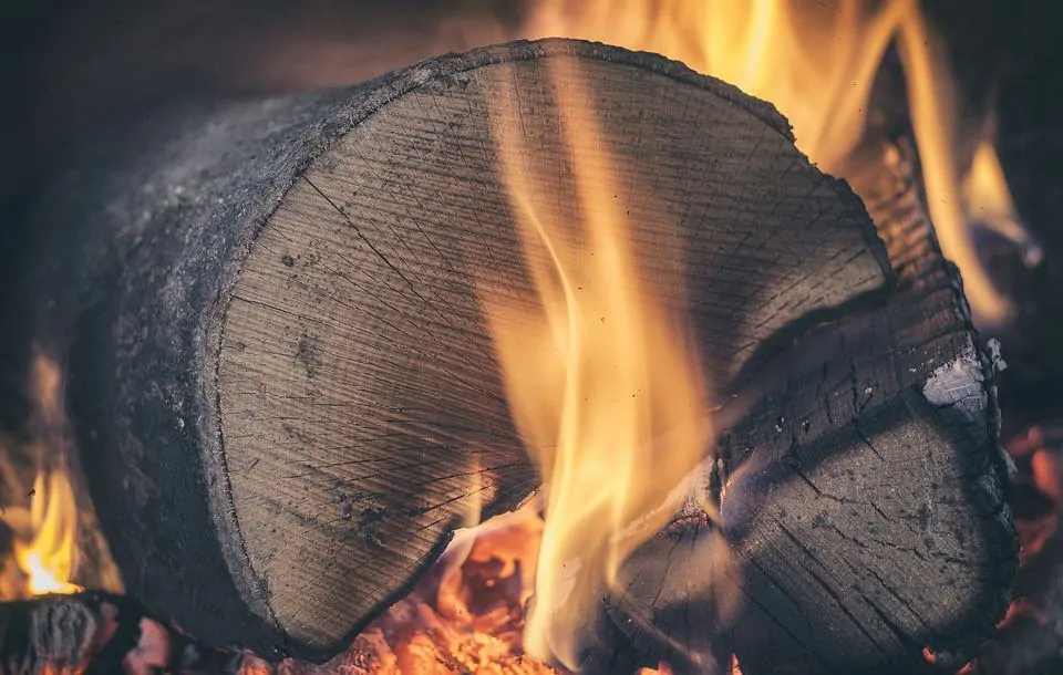 Cómo comprar la mejor barbacoa de leña 10