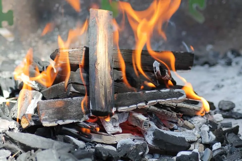 Cómo comprar la mejor barbacoa de leña 11