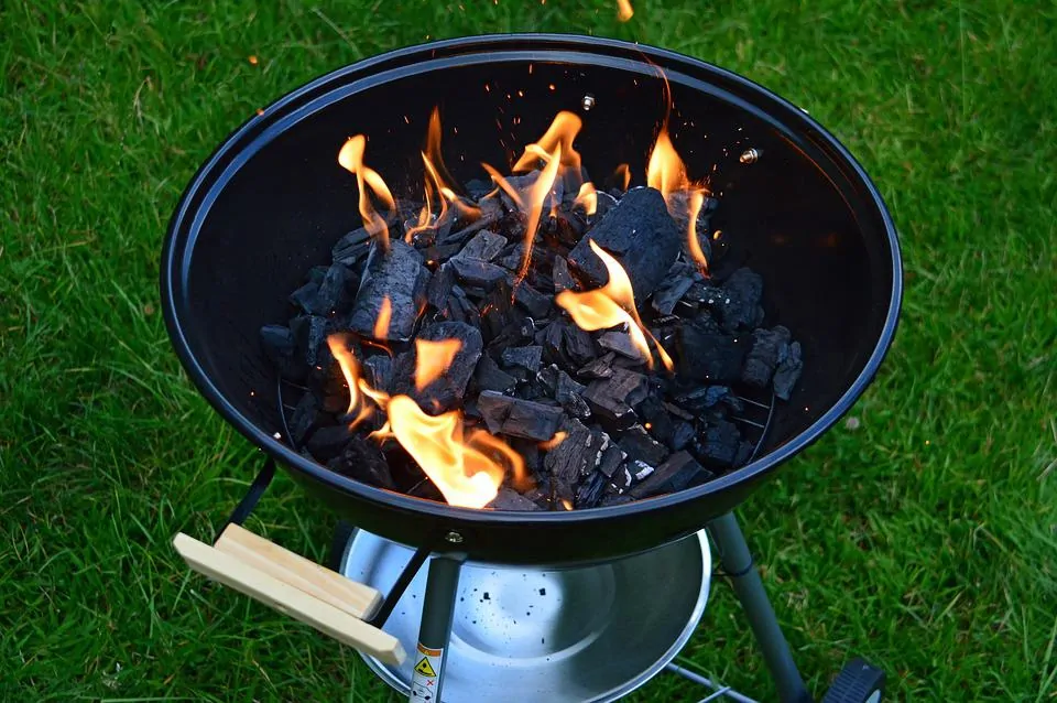 Cómo comprar la mejor barbacoa de leña 13