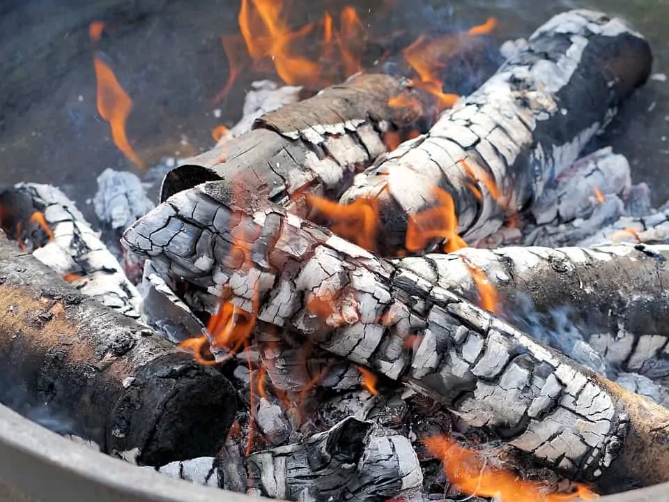 Cómo comprar la mejor barbacoa de leña 15